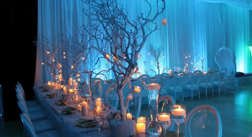 A long table set for an event with white chairs, candles, and white tree branches decorated with small lights.