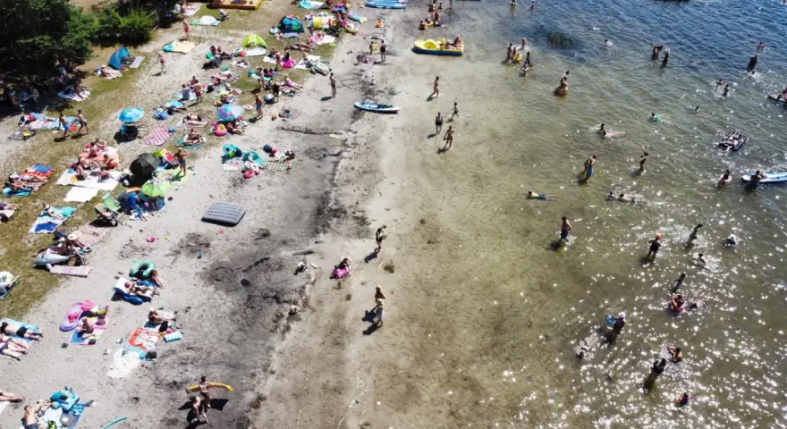 Tłoczna plaża nad jeziorem, ludzie opalają się, kąpią i pływają. Wakacyjny wypoczynek na **jeziorach lubelskich**.