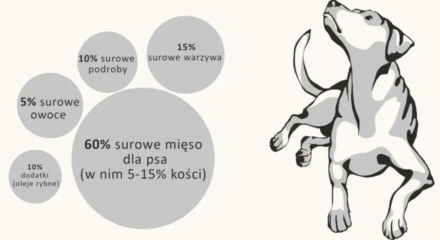 Ile surowego mięsa dla psa? Poznaj idealne proporcje dla zdrowia