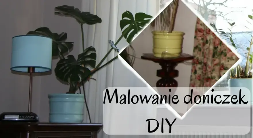 Jaką farbę pomalować doniczki, aby uzyskać piękne efekty?