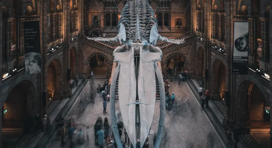 Londra gratis: Musei, parchi e attrazioni imperdibili a costo zero