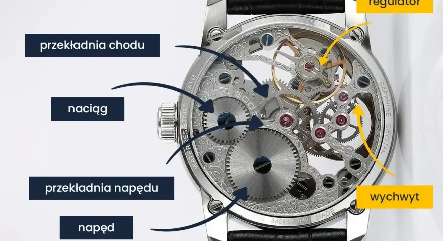 Widok mechanizmu zegarka z zaznaczonymi elementami: naciąg, przekładnia napędu, przekładnia chodu, regulator i wychwyt.