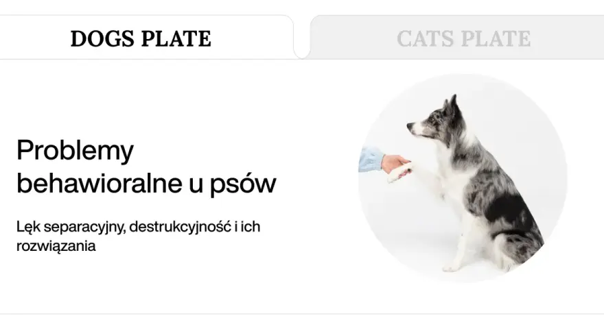 Pies podaje łapę, symbolizując rozwiązanie problemów behawioralnych, w tym czy lęk separacyjny u psa mija.