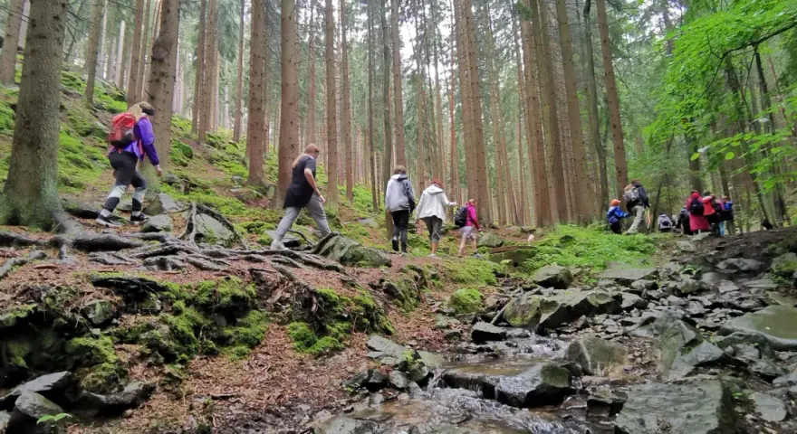 Grupa turystów wędruje po kamienistych szlakach w lesie. Widać korzenie drzew i strumyk.