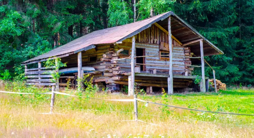 Drewniany bieszczady domek na odludziu, otoczony lasem i łąką. Wygląda jak miejsce na spokojny wypoczynek z dala od cywilizacji.