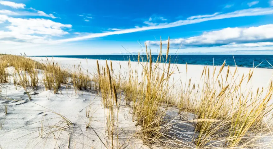 Piasek, trawy morskie i błękitne niebo nad Bałtykiem – to jedne z najpiękniejszych plaż w Polsce.