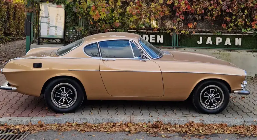 Klasyczny Volvo P1800 w kolorze złotym, zaparkowany na tle jesiennych liści i zielonego płotu z napisem "JAPAN".