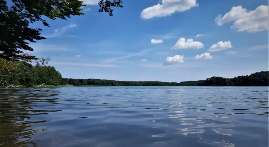 Spokojne jezioro Partęczyny z łagodnymi falami odbijającymi błękitne niebo i białe chmury. Lasy otaczają taflę wody.
