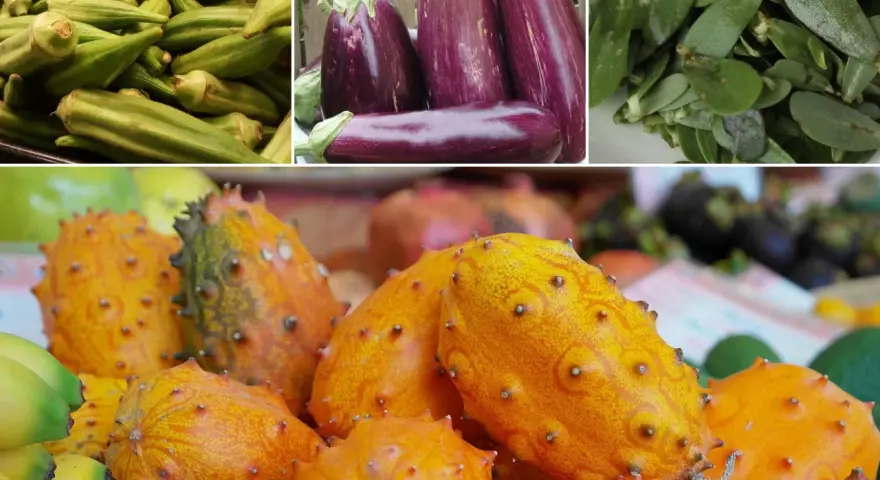Kiwano, bakłażany, okra i inne egzotyczne warzywa tworzą barwną mozaikę smaków.