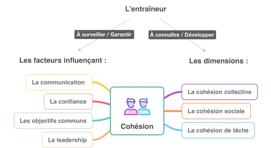 Schéma sur la cohésion d'équipe, ses facteurs (communication, confiance, objectifs, leadership) et ses dimensions (collective, sociale, tâche). Idéal pour relever des défis sportifs rigolos !