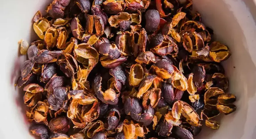 Suszone skórki kawy, czyli cascara. To produkt uboczny procesu produkcji kawy, który można zaparzyć jak herbatę.