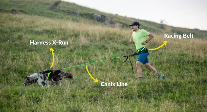 Man springer med hund i en kuperad terräng, utrustad med sele, lina och bälte för canicross.