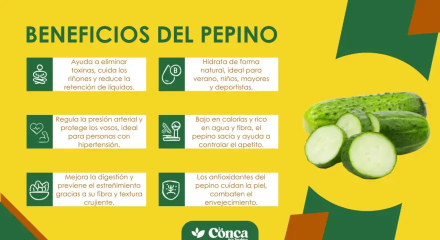 Beneficios del pepino: hidrata, regula la presión, mejora digestión y cuida la piel. ¡Un aliado natural!