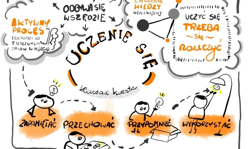 Jak efektywnie się uczyć? Opanuj mózg i techniki sukcesu!