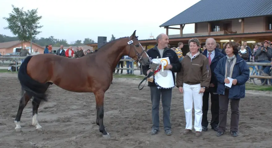 Un cheval brun primé, avec le numéro 318, est présenté par un homme tenant un trophée. Derrière eux, des spectateurs et des juges se tiennent près d'un bâtiment, formant des monceaux d'admiration.