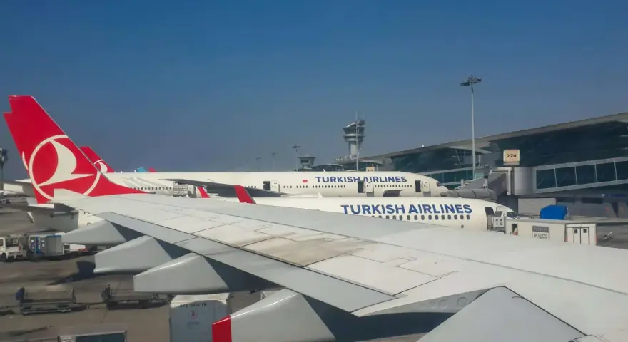 Samoloty Turkish Airlines na płycie lotniska. W tle terminal i wieża kontroli lotów. Czekam na mój bagaż.