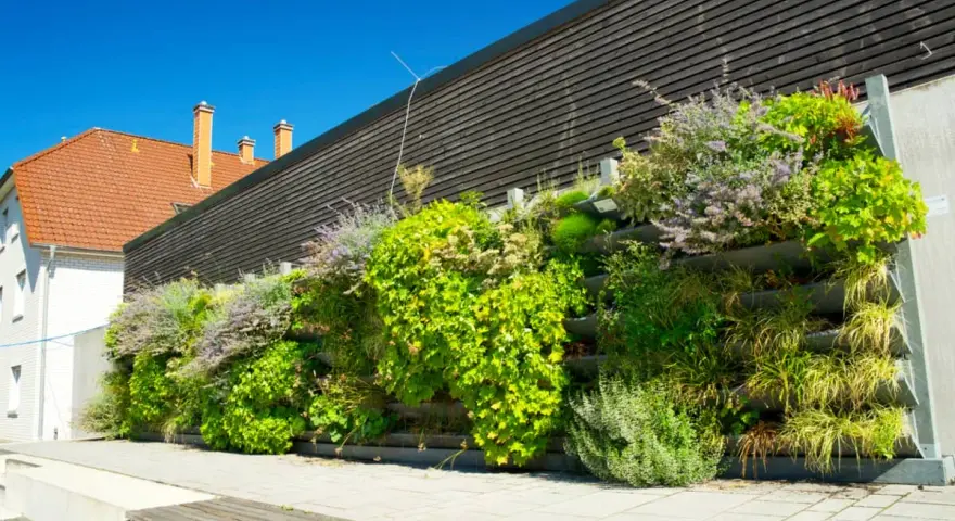 Un exuberante jardín vertical con palets y macetas, lleno de plantas verdes y flores moradas, adorna una pared de madera oscura.