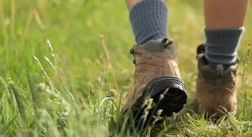 Wanderstiefel mit grauen Socken, die durch hohes Gras treten. Die richtigen Socken sind entscheidend, welche Socken zum Wandern am besten geeignet sind.