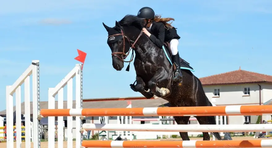 Une cavalière et son cheval noir effectuent un saut d'obstacle impressionnant.