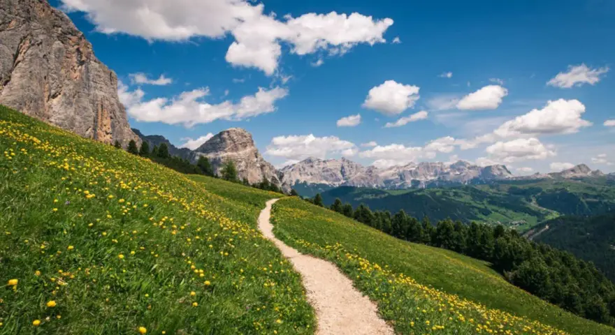 Sentiero in fiore per un trekking di 5 giorni in Italia. Montagne maestose e cielo azzurro con nuvole bianche.