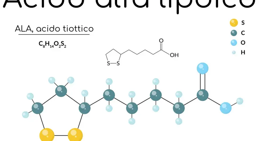 Acido alfa lipoico (ALA) a cosa serve? Struttura chimica e formula C8H14O2S2. Utile antiossidante.