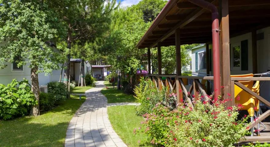 Ścieżka w ca pasquali village prowadzi wśród zieleni do domków letniskowych.