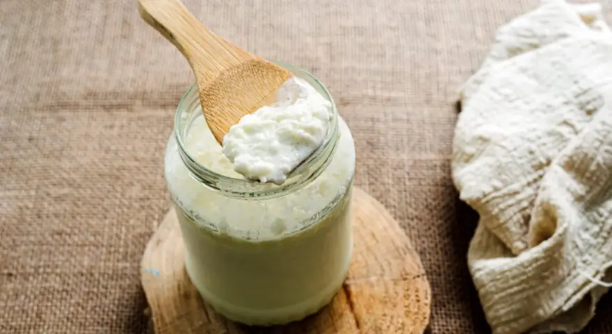 Une cuillère en bois prélève du lait fermenté d'un bocal. Idéal pour savoir que faire avec du lait fermenté.