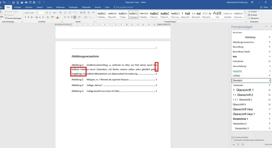 Das Abbildungsverzeichnis in Word zeigt eine Liste von Abbildungen mit Titeln und Seitenzahlen, die für die diplomarbeit formatierung erstellt wurde.