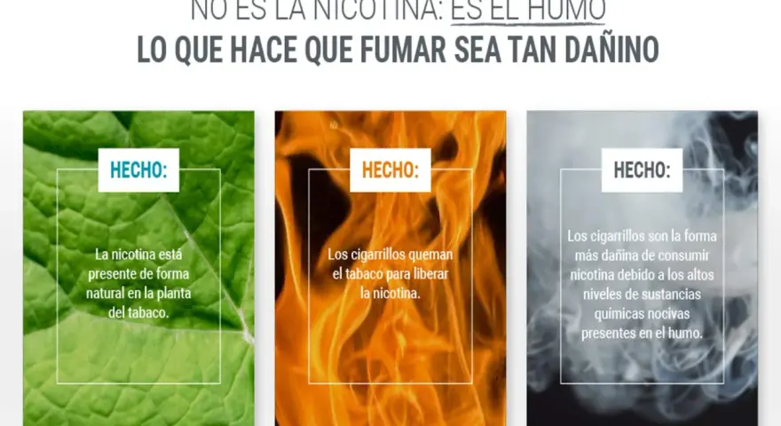 La nicotina, presente en el tabaco, se libera al quemarse. El humo del cigarrillo es lo dañino, no solo qué hace la nicotina en el cuerpo.
