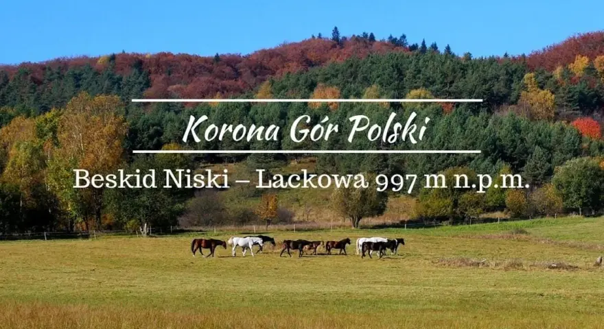 Jesienne barwy Beskidu Niskiego, z Łacową jako jednym z jego szczytów. Konie pasące się na łące.