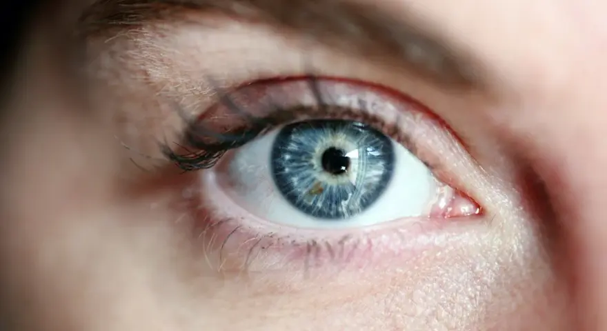 Occhio azzurro intenso, con iride dettagliata che riflette la luce. La sua trasparenza evoca il **vitrea significato** di profondità e purezza.
