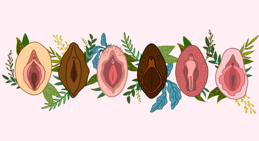 Ilustracja przedstawia różnorodność warg sromowych, od jasnych po ciemne, otoczone roślinnością. Temat przerostu warg sromowych i zabiegu jest tu subtelnie zasugerowany przez różnorodność form.