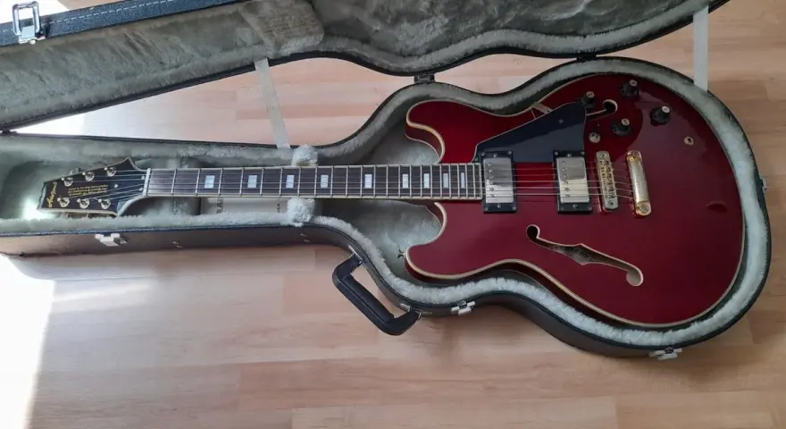 Rote E-Gitarre im Koffer, ein Beispiel für verschiedene E-Gitarrentypen, bereit für den Transport.