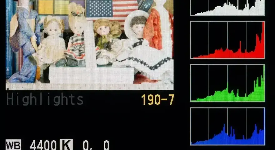 Histogram co to? Wykresy RGB pokazują rozkład jasności na zdjęciu z lalkami i flagą USA.