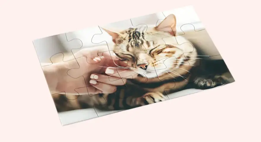Jak zrobić puzzle ze zdjęcia? Ułóż obrazek z kotem, który głaszcze dłoń.
