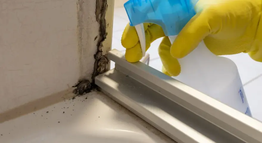 Yellow-gloved hand sprays cleaning solution onto black mold in a bathroom corner.