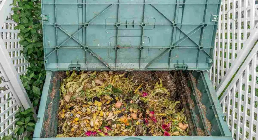 Compostiera verde piena di scarti organici, un esempio di bokashi fai da te per un giardino sostenibile.
