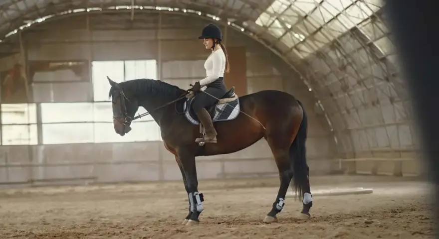 Une cavalière en tenue d'équitation, portant un casque, monte un cheval brun dans un manège. Elle a un aplomb parfait, montrant sa maîtrise.