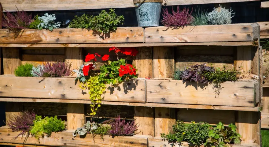 Fioriere con pallet fai da te piene di erica, gerani rossi e piante verdi. Un secchiello decorativo completa l'allestimento.