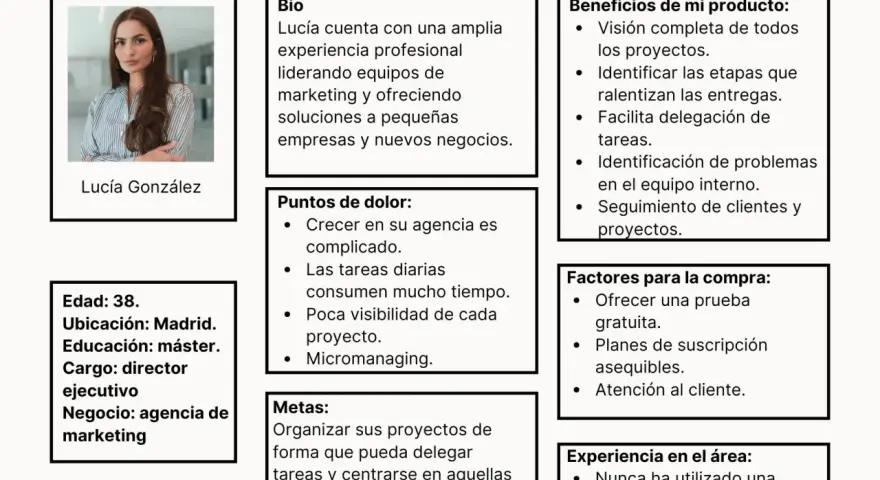 Buyer persona B2B: Lucía, 38, directora ejecutiva de agencia de marketing en Madrid. Busca delegar tareas y crecer.