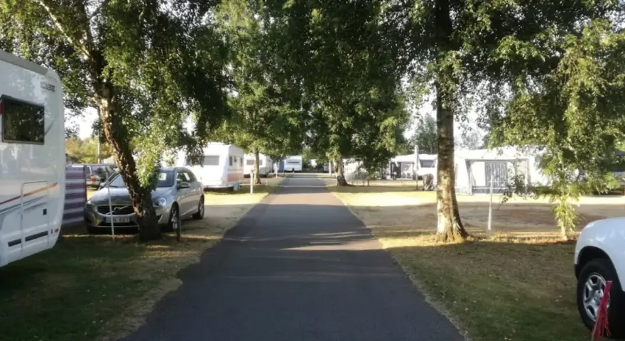 Väg leder genom rosendals camping, kantad av träd och husvagnar.