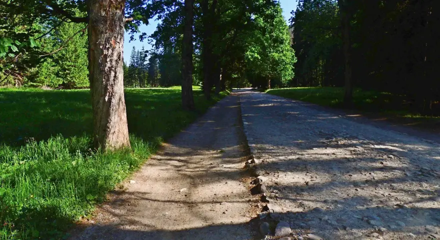 Bacówka w Dolinie Kościeliskiej: Autentyczny smak Tatr i praktyczne porady