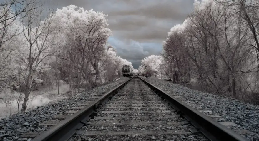 Voie ferrée menant à un train solitaire, bordée d'arbres aux feuilles blanches et d'un ciel orageux.