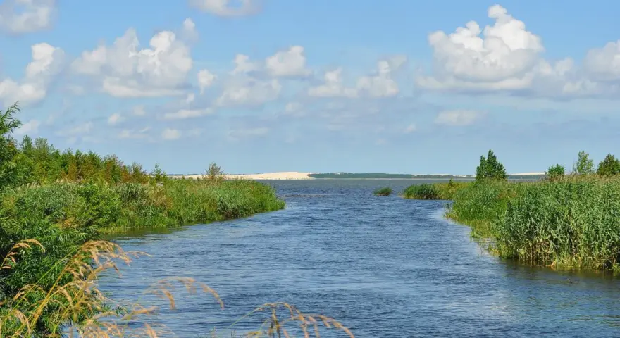 Spokojne jezioro na wybrzeżu słowińskim, otoczone zielenią i trzcinami, z piaszczystymi wydmami w oddali pod błękitnym niebem.