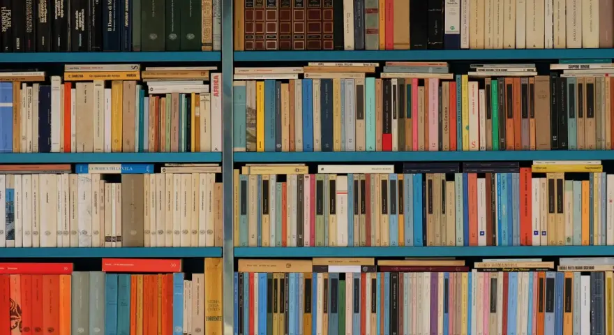 Estanterías llenas de libros con títulos variados, una biblioteca repleta de historias esperando ser descubiertas.