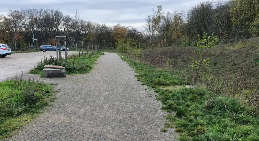 Gravel path leading to the Halde Rungenberg parken. Cars are parked on the left, with trees and overgrown grass lining the path.