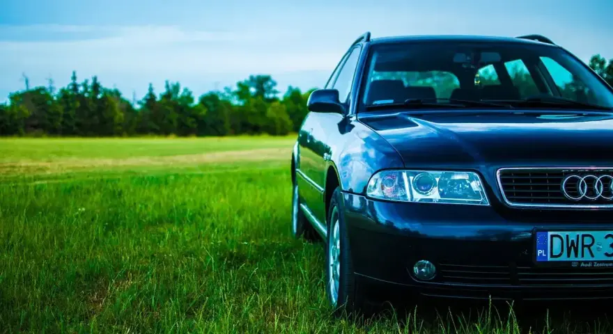 Ciemny Audi A4 B6 2.0 benzyna na tle zielonej łąki i lasu.