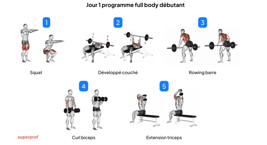 Programme de remise en forme pour débutants : squat, développé couché, rowing barre, curl biceps, extension triceps.
