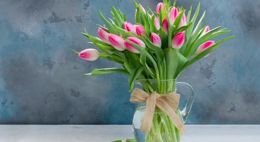 Bukiet różowych tulipanów w dzbanku z jutową kokardą. Czy wiesz, że tulipan to symbol wiosny i miłości?