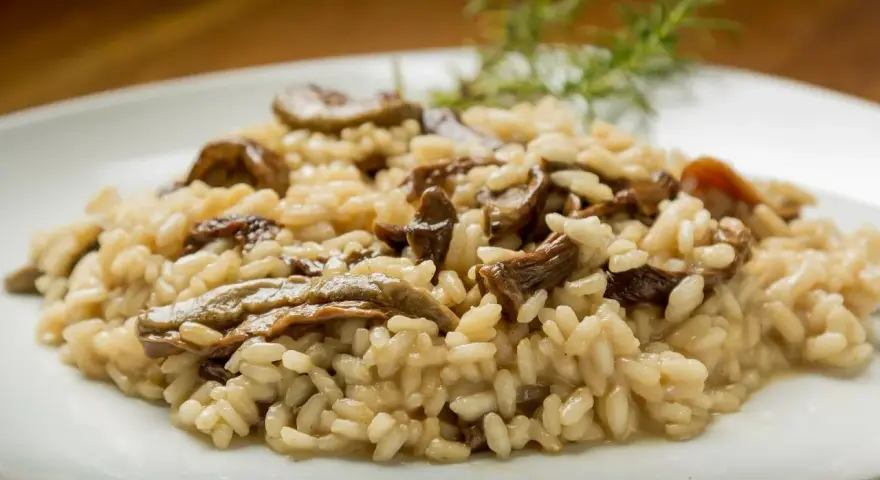 Kremowe risotto z grzybami na białym talerzu, udekorowane gałązką rozmarynu.